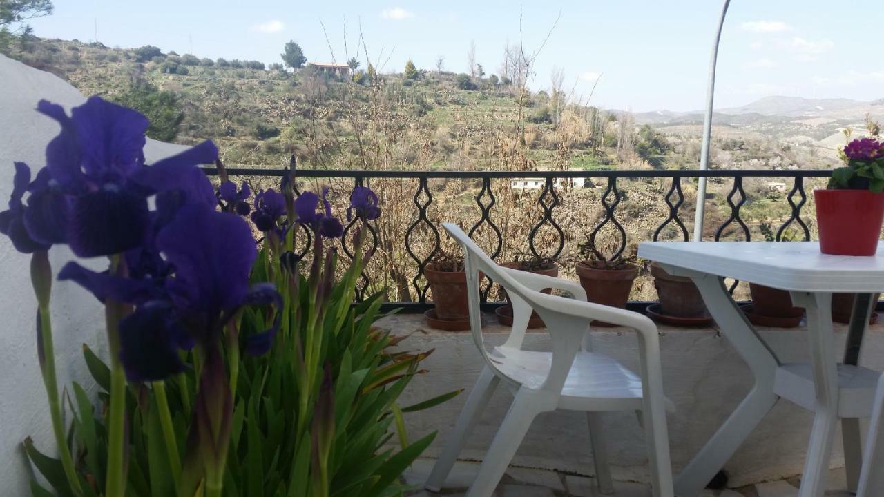 Serón La Casa De La Acequia 게스트하우스 외부 사진