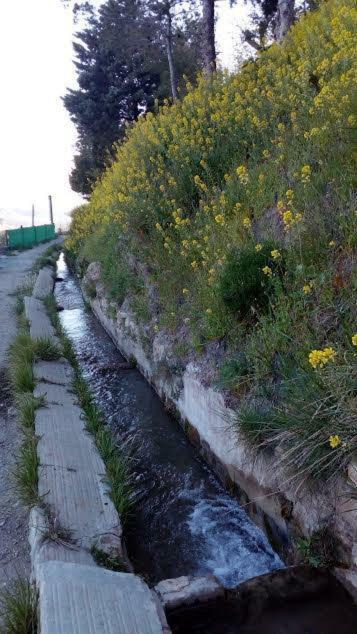 Serón La Casa De La Acequia 게스트하우스 외부 사진
