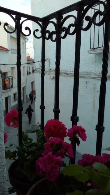 Serón La Casa De La Acequia 게스트하우스 외부 사진