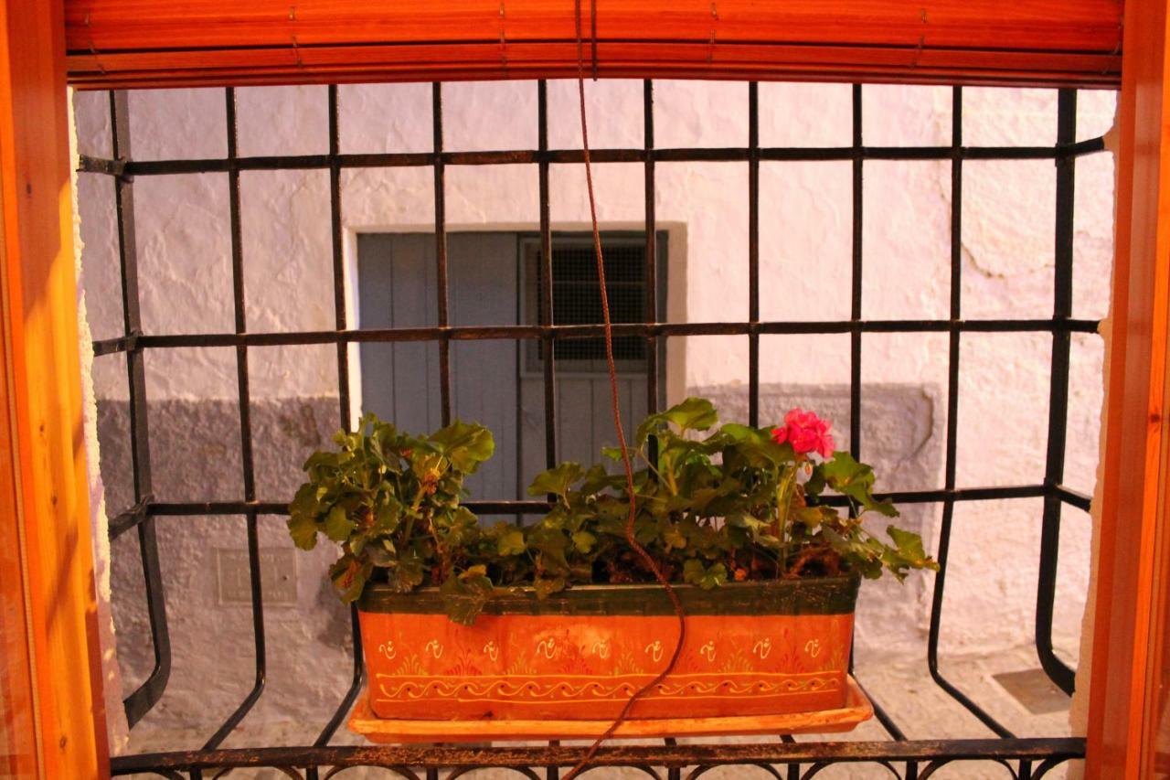 Serón La Casa De La Acequia 게스트하우스 외부 사진