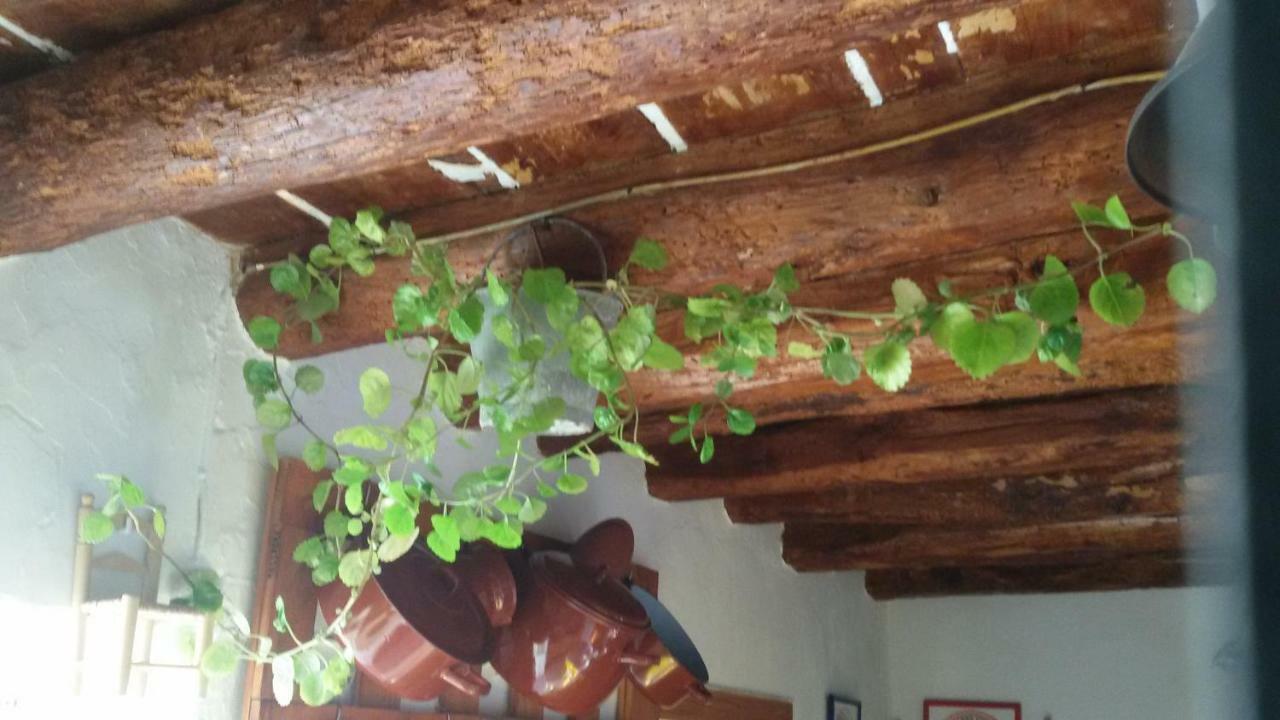 Serón La Casa De La Acequia 게스트하우스 외부 사진