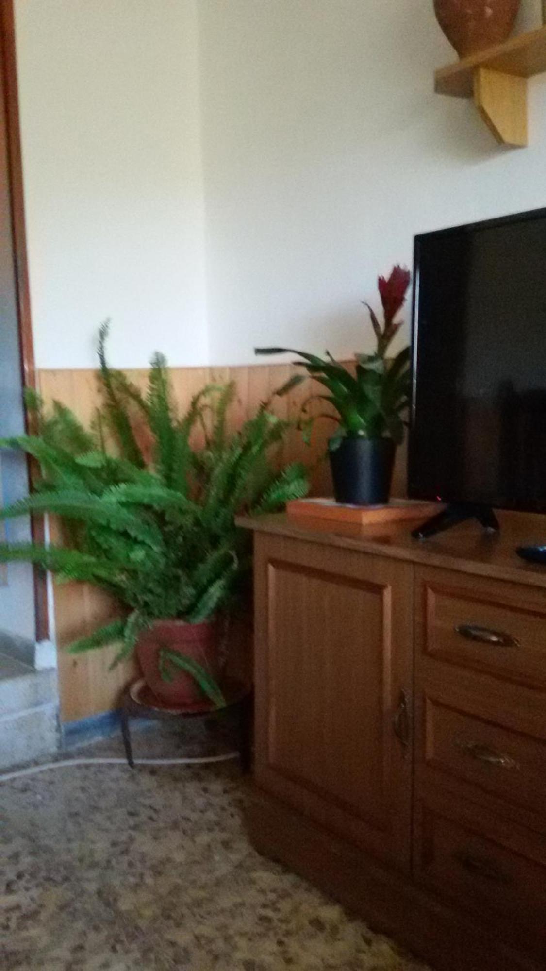 Serón La Casa De La Acequia 게스트하우스 외부 사진